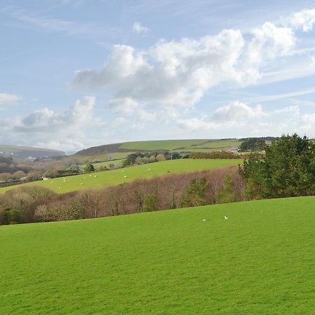 Merlin View St Mawgan Kültér fotó